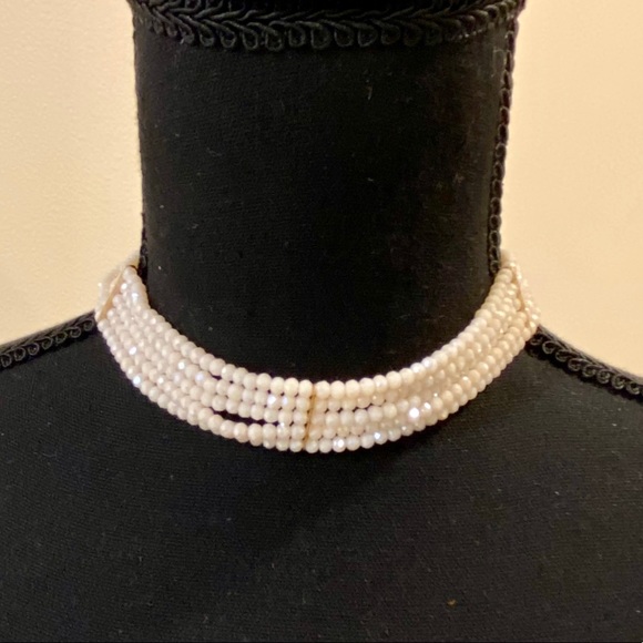 Francesca's Collections Jewelry - NWT! Francesca’s Beaded Shimmer Choker Necklace
